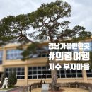 지수 승산마을 관광안내소 | [경남 가볼만한곳] 진주 승산부자마을 주차 정보 및 부자소나무 기운 받고 온 후기 (feat. 지수양조장)