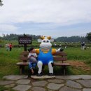 늘보목장 이미지