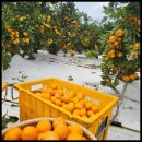 다미농장 이미지