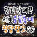 잘 안알려진 서울 불꽃축제 명당장소 모음 이미지