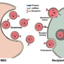 제일메디컬센터 이미지