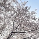 평택대 건너편 이미지