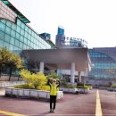 외연도4 이미지