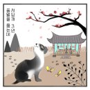 서당개 스튜디오 이미지