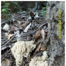 옛날시골국밥 이미지