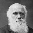 다윈하우스 이미지