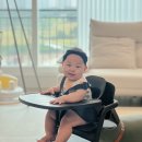 국민식탁 | 아기 원목 하이체어 싸이벡스 레모 3in1 7개월 이유식 국민 식탁의자 추천