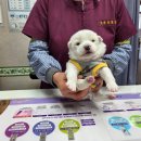 제니스동물병원 이미지