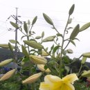 (주)플래티넘파트너스부동산중개법인 이미지