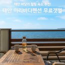 태안 아리바다펜션 후기, 청포대 바다뷰 스파 갯벌체험 총정리