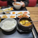 제육폭식시흥플랑드르점 | 제육폭식 시흥플랑드르점 육식강된장 정식 특제육폭식 덮밥 내돈내산 후기