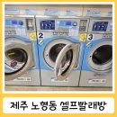 노형세탁 | 제주 센트럴시티호텔 근처 노형동 셀프 빨래방 솔직후기