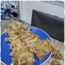 The빛나개 이미지