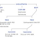 진성동물병원 네이버블로그