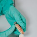 연세W치과의원 이미지