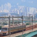 G1143 이미지