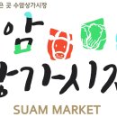 수암청과