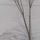 타이어프로 밀양가곡점 이미지