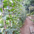 복흥농장 이미지