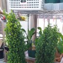 두봉농장 이미지