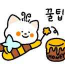 울주 피크닉 콘서트 가을 한 장 이미지