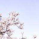 [행복한학교]행복한 라탄공예 이미지