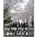 성남 분당 조이핏운동센터 러닝비기너 클래스 3주차 벚꽃 런