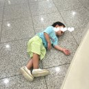 그루동물병원 | 고양어린이박물관 내돈내산 다녀온 후기(경기도 일산)