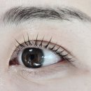썸네일&속눈썹 | [강남속눈썹] 이화뷰티랩 | 별원장님 개인 1:1 맞춤 컬 속눈썹펌 만족 후기 👀