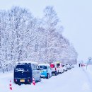 한성협동조합택시 | 비에이 택시투어│고민 끝에 정리한 아사히카와 출발 택시투어 업체 4곳 비교