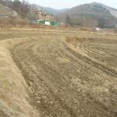 서면농장 이미지