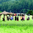 새하얀세상 이미지