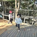 11-1주 갈산숲에서~♡ 이미지