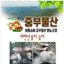 일출물산 이미지