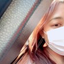 이디이디테일샵 | 20.08.17의 일상 ෆ