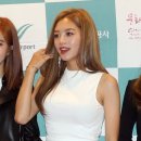 레인보우 일간스포츠