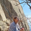 비둘기모사 이미지