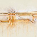 트럼펫 1:1 개인레슨 이미지