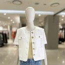 씨씨콜렉트롯데 | 씨씨콜렉트 라운드넥 노카라 트위드 자켓 구입 후기 (내돈내산)