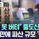 "줄줄이 무너진다"..파산 법인 열달새 1,380곳 '역대 최대' 이미지