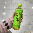 진미여행사