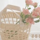 헤일비플라워