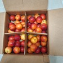 은실농장 이미지