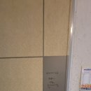 백석한승 이미지