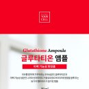 앰플디자인 이미지