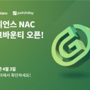 버그 솔루션