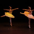 해설이 있는 발레이야기 이미지