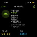 비즈메이트 - 서초구 강남대로37길 49 | 비즈메이트
