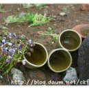 흙과 나무 이미지