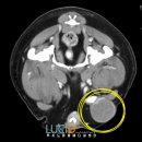 면목동물병원 이미지